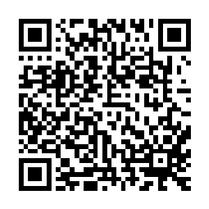 并不英俊的五官因为这清澈随意的笑容而增加了好几分的美丽二维码生成