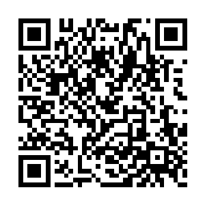 并与小蜈蚣联手准备度过被众多杀手围攻的劫难二维码生成