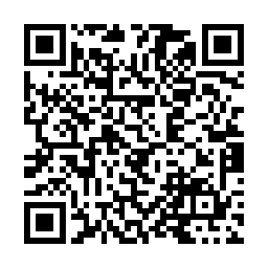 并且也不知道对方身后的人到底是要保护还是要埋伏二维码生成