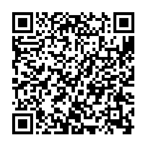 并且从来不去采集那些没有成熟的灵药……原先我还对此事有些怀疑二维码生成