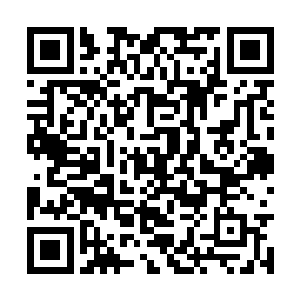 并且别看他们动不动就人身攻击甚至问候选手家人二维码生成