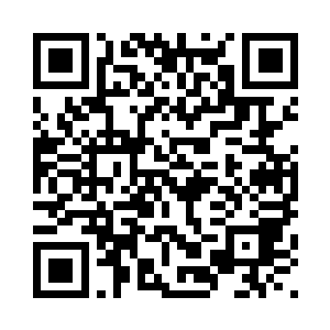 并且到处都是绿色沼泽和腐朽树木二维码生成