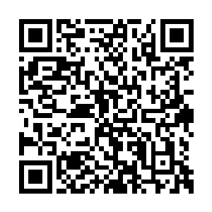 并且发动了整个宁海市的地头蛇来找朱蒂这伙人二维码生成