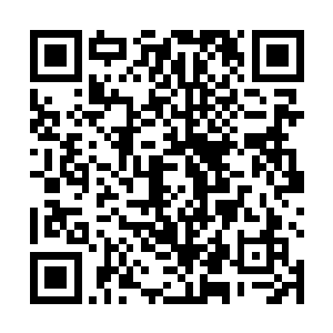 并且对于现在已经有萌芽迹象的枪支暴力进行防微杜渐二维码生成