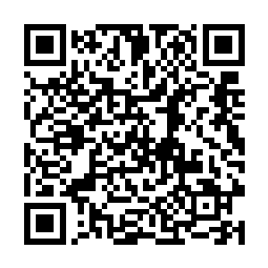 并且将贡献低于标准线的所有人剔除出继承人的序列二维码生成