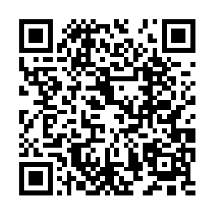 并且当天晚上姜森亲自将他的骨灰带回了东北安葬二维码生成