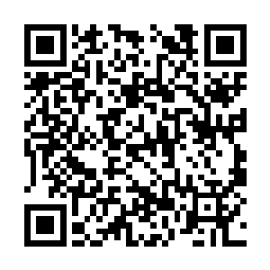 并且找了这颗通红大树的其中一块树杈较多的位置二维码生成