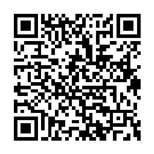 并且林封谨的这一匕横划针对的是斩道人的左臂二维码生成