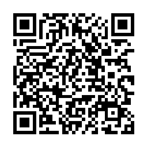 并且每年都会带我秘密来到这里接受各种各样的强化调制二维码生成