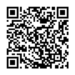 并且每棵树树干上的圈圈无一例外都是一侧疏一侧密二维码生成