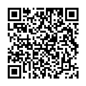 并且激发过去的法术就仿佛是给这些狼兽蝠送去了灵力一样二维码生成