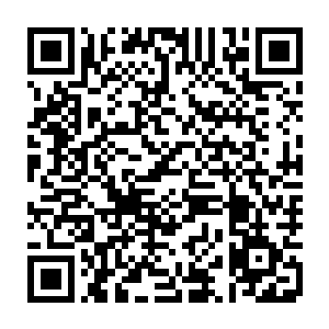 并且用金钱号召了不少人进入万毒山脉寻找一个怀中抱着一头小白虎的人二维码生成