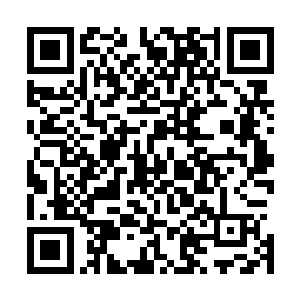 并且被另外一个一直被他打压的布鲁诺家族给几乎连根拔起二维码生成