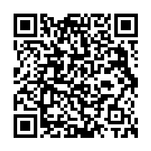 并且要求夏侯家族上上下下的所有人都必须如此二维码生成