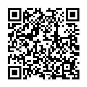 并且还使用芯片将之前记录的领域波动都释放出来二维码生成