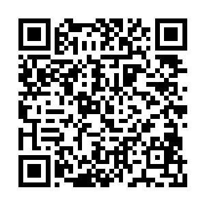 并且还无声无息在后面用雷龙追踪了我们这么久二维码生成