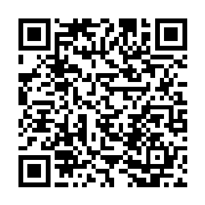并且还是一个拥有大量枪械的犯罪团伙给一网打尽了二维码生成