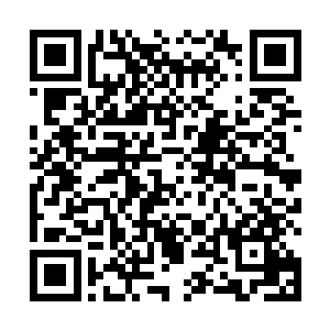 并在所有聚灵塔的晶片中都植入了一组专属于他的印记二维码生成