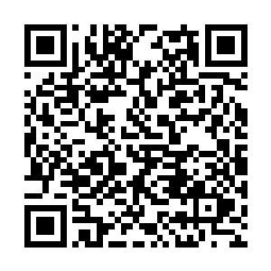 并在最后汇聚成一股强大的力量沿着手臂进入手心二维码生成