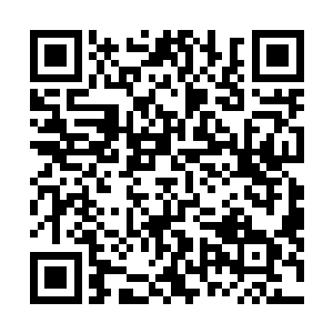 并在识海之中凝聚出万灵塔的人在一定的距离内实现交流二维码生成