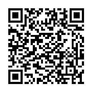 并没有什么直接证据说明就是艾泼斯坦家族干的二维码生成