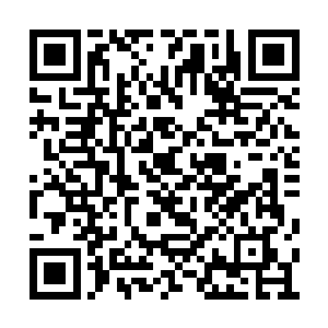 并没有像贝海一样跃进水中而是顺着船舷往下滑二维码生成