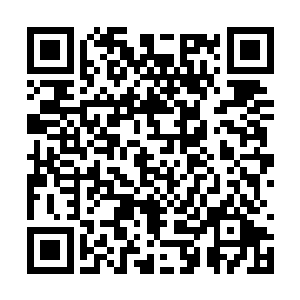 并没有出现第二只血麒麟……这还真是一个好消息二维码生成