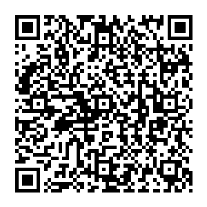 并没有半年之后出现的清缴猩红修道院的那个任务――这意味着那群猩红侍者现在还相对安分二维码生成