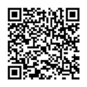 并没有在意李耀过分稚嫩的脸庞还有光秃秃的脑袋二维码生成