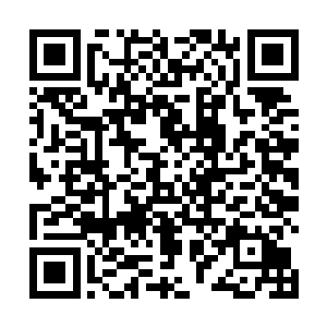 并没有直接去教训那些混蛋而是先找人给弟弟包扎伤口二维码生成
