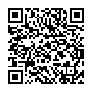 并没有谁在一边阴阳怪气的说他是帮苗翠花脱罪之类的话二维码生成