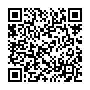 并激荡出一阵阵蕴含着恐怖毁灭力量的能量冲击波二维码生成