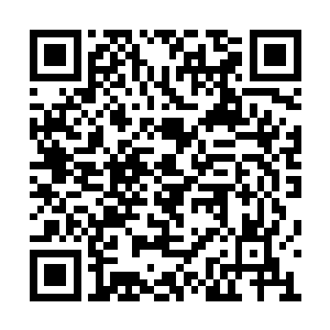 并给每人派发了一道有着超大容量的高阶储物符二维码生成