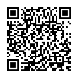 并认为这是白角族和无角人对其他两族阴谋迫害的开始和证据二维码生成
