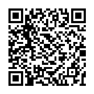 并随后还堵到了拳王阿龙本人他嘴角的伤痕还在二维码生成