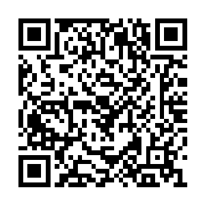 并非每一中被点化的生物都拥有属于自己的化身二维码生成