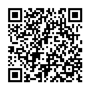 幸亏一边担任裁判的导师马上进行了心灵疏导开解二维码生成