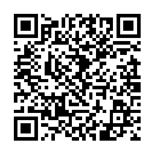 幸好眼下比赛还没有开始整个会场乱糟糟的非常喧闹二维码生成