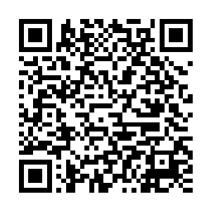 幸好金晶塔里有这么多洪荒时代遗留下来的晶脑可以研究和利用二维码生成