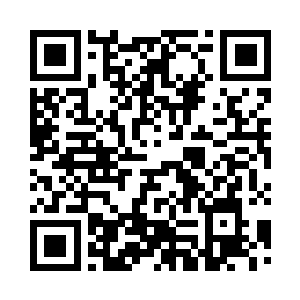 幻化出无数火鸟火鸦火禽火兽攻向玲珑二维码生成