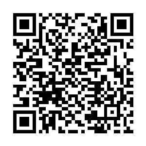 幻因走廊就拒绝传送她这种身上带有诅咒之力的人二维码生成