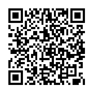 幻想着以后可以凭借自己的实力闯出一番名堂来二维码生成