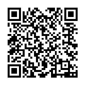 幼儿园的老师们也算是充分利用了他们两个的身材优势二维码生成