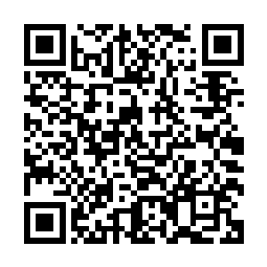 幼年时它们的形态都会随着各自的种族不同而产生不同的形态二维码生成