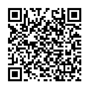 幼稚园今天来了一个长得好漂亮好漂亮的饼干哥哥二维码生成