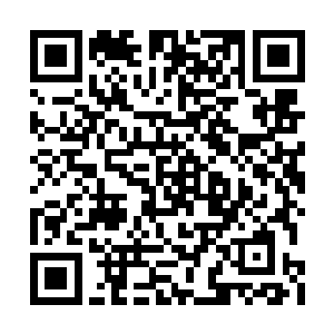 幽灵因为白化病而泛红的眼睛突然变得异常狂暴二维码生成