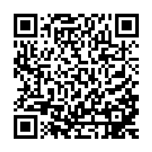 广南王府每年有五十个骑士名额可以免费进入大荒洞天之中磨练二维码生成