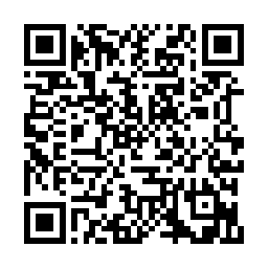 广大的老百姓对于这个节目已经产生了审美疲劳二维码生成