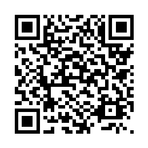 庄之蝶的目光带着审视落在纪念脸上二维码生成