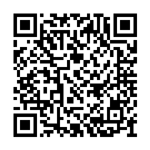 庄园里的下人们已经把一车车的三个种类的全效二维码生成